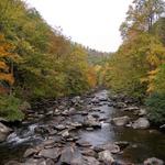 Cherokee National Forest