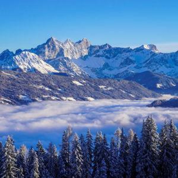 Christmas Dinner For Two in Austria
