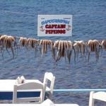 Captain Pipinos Seafood Taverna