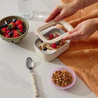 Mini Rectangle Container with Lid