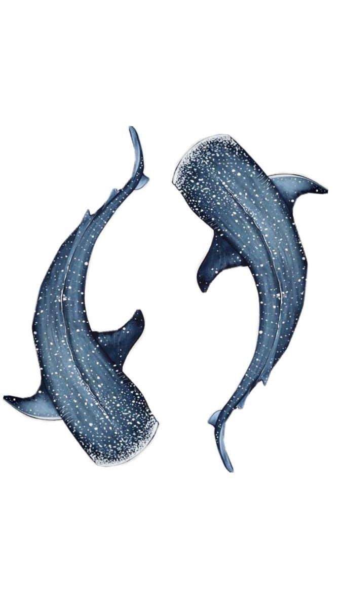 The Wedding Website of Brian Andrew and Rosalie Josephine