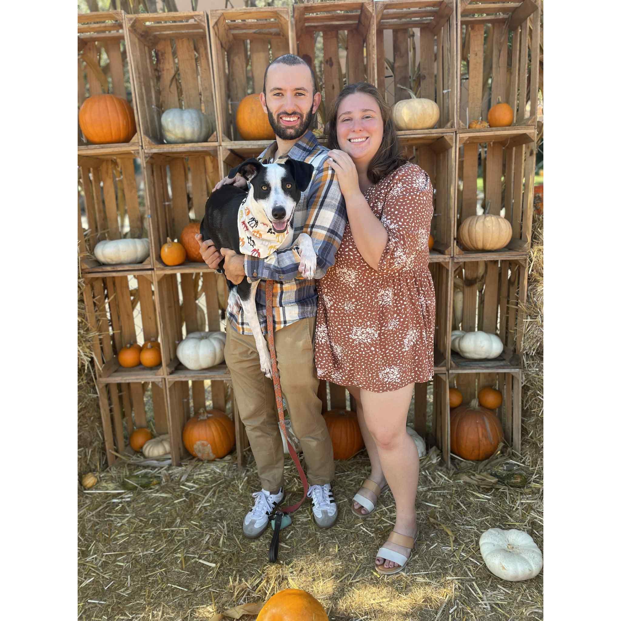 2023 - Pumpkin Picking, San Diego