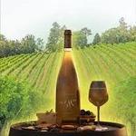 Ithaca Wine Tours