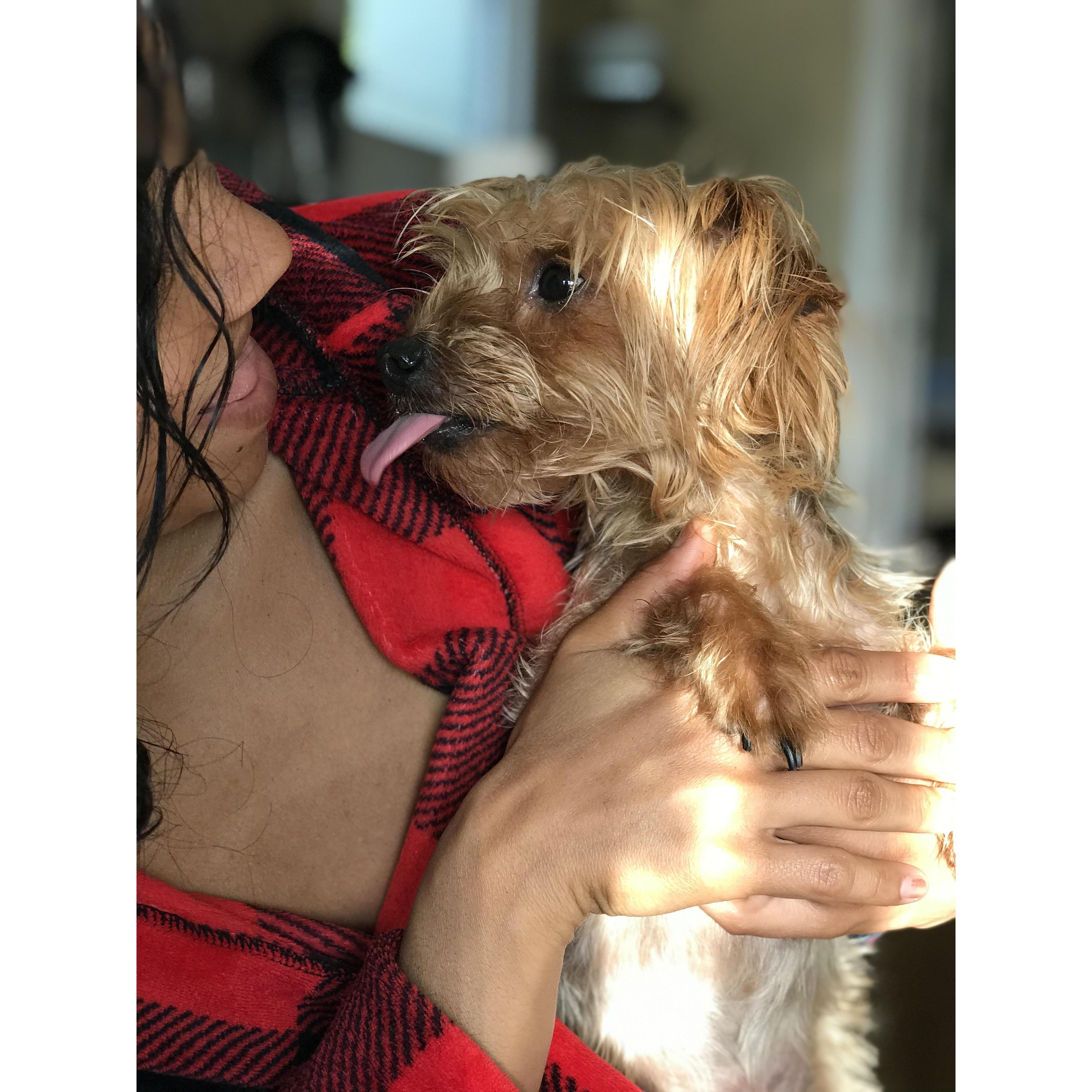 Morning routine.