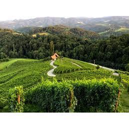 South Styrian wine country