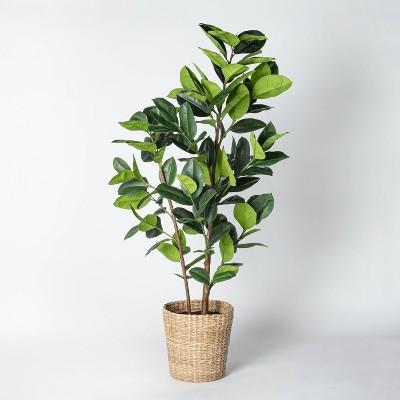 Artificial Rubber Leaf Tree in Pot Green - Threshold™ designed with Studio McGee