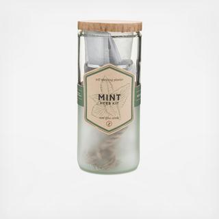 Mint Eco Planter