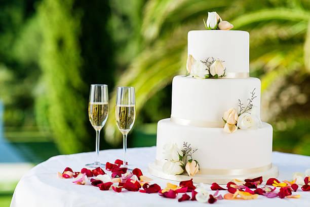 The Wedding Website of Shane Phebus and Christina Fasano