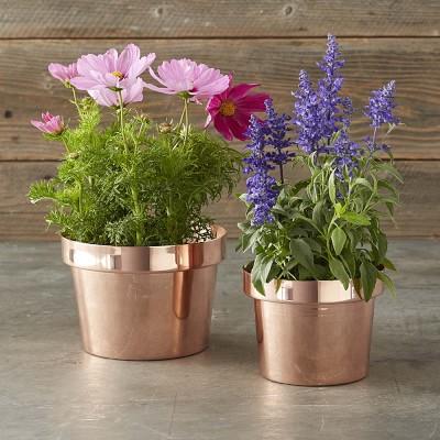 Copper Flower Pot