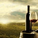 Wine Tours