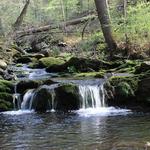 Steep Rock Preserve