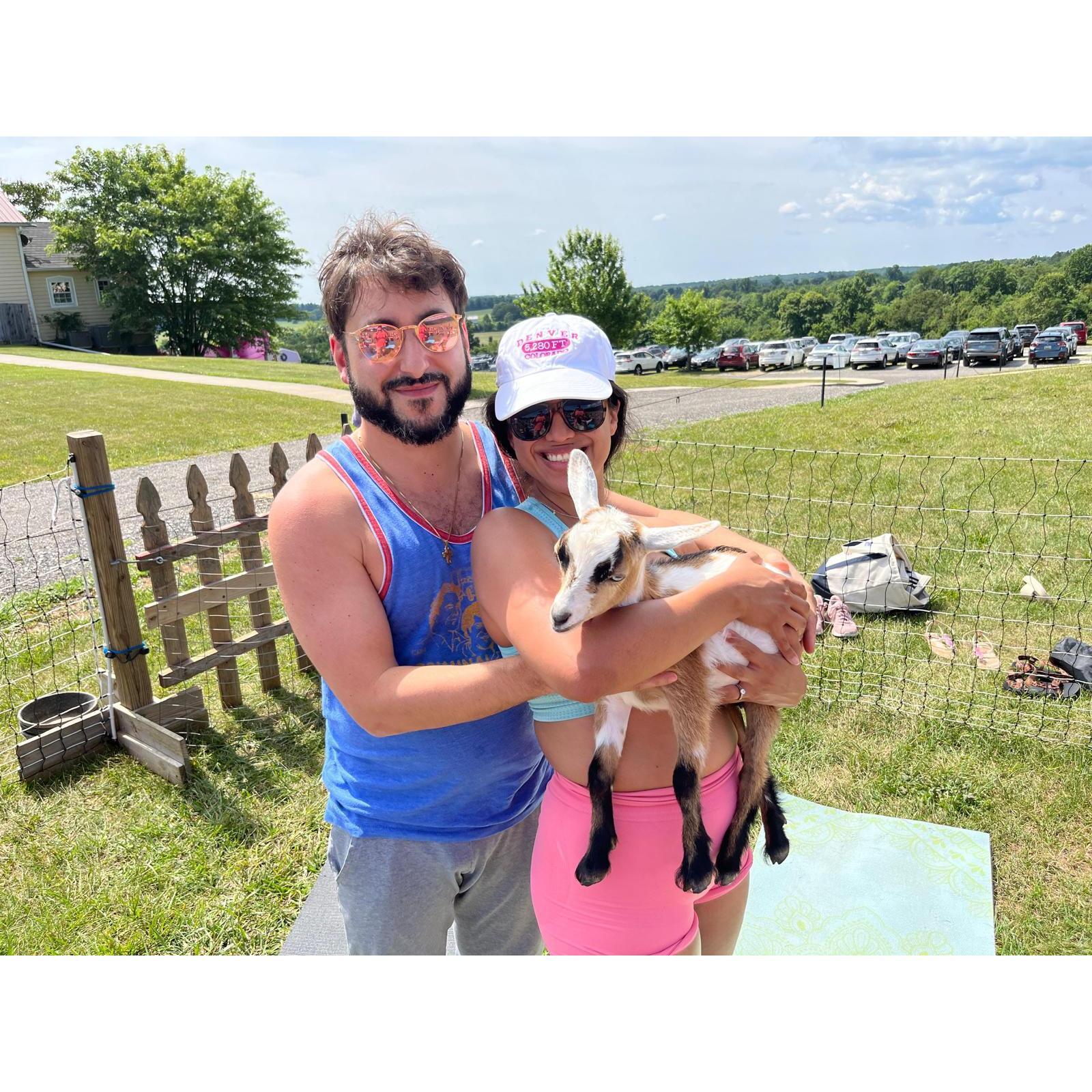 William's first attempt at making Vanessa fall in love with goats for our future farm. Success!