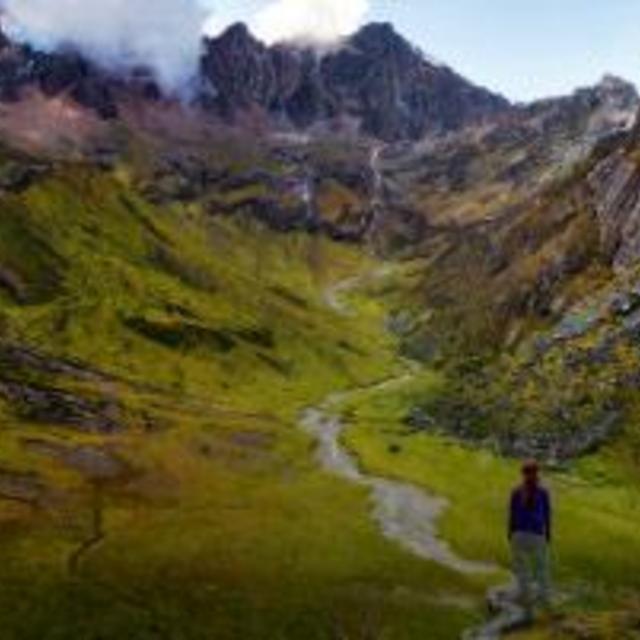 Delta Airlines Gift Card