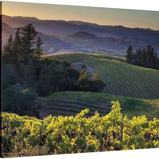 ART.COM Canvas Wall Art Prints Healdsburg, Sonoma County, California: Vineyard and Winery at Sunset by Ian Shive, Places Decor, 32" x 24"