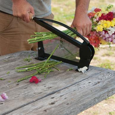 Floral Stem Cutter