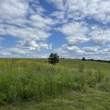 White River County Park
