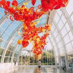 Chihuly Garden and Glass