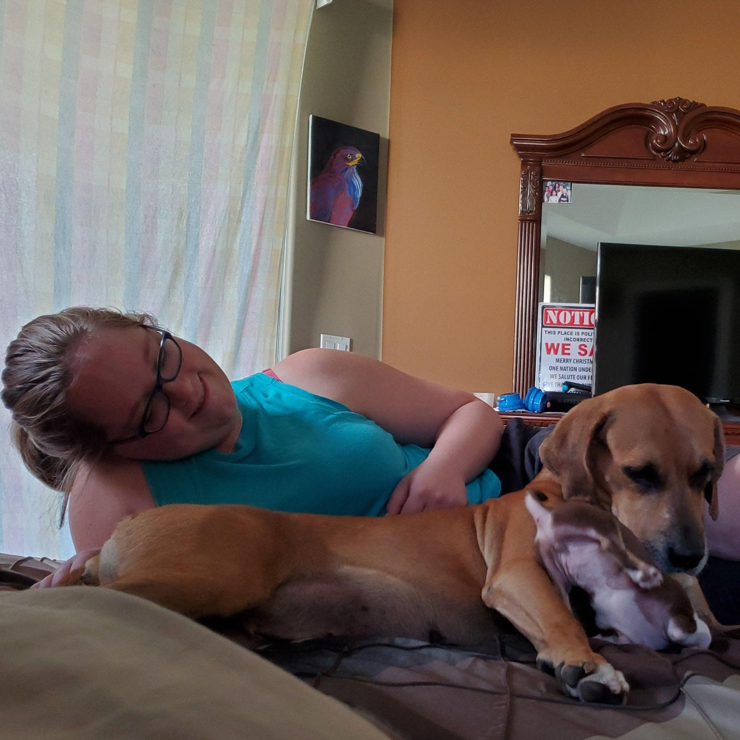 Jacqueline watching the pups (Hope and Hershey) bond and murder each other.