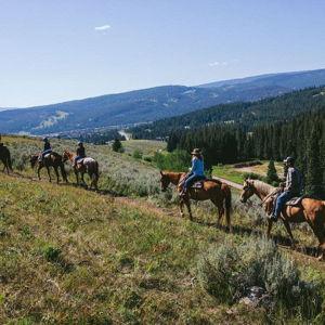 Honeymoon: Horseback Riding