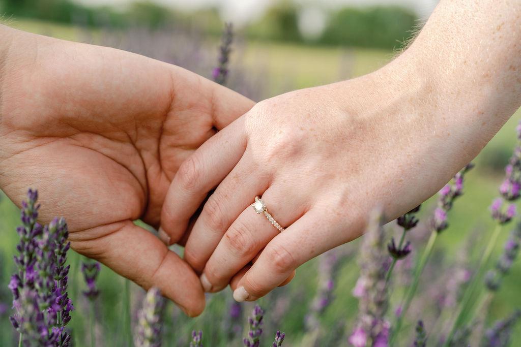 The Wedding Website of Hailey Diana and Anthony Bothe