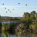 Valentine National Wildlife Refuge