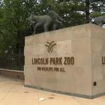 Lincoln Park Zoo