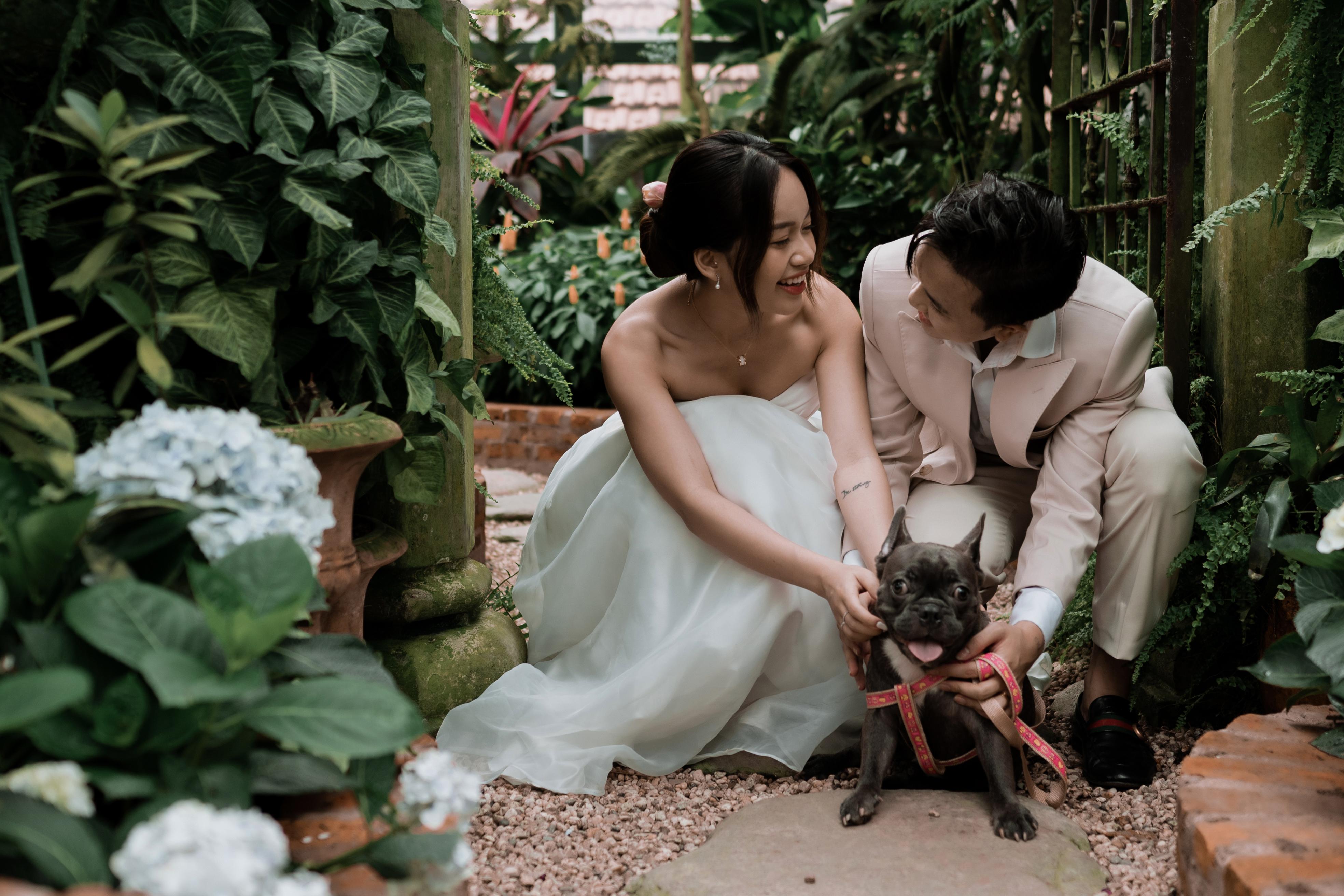 The Wedding Website of Alvin To and Ngan Nguyen