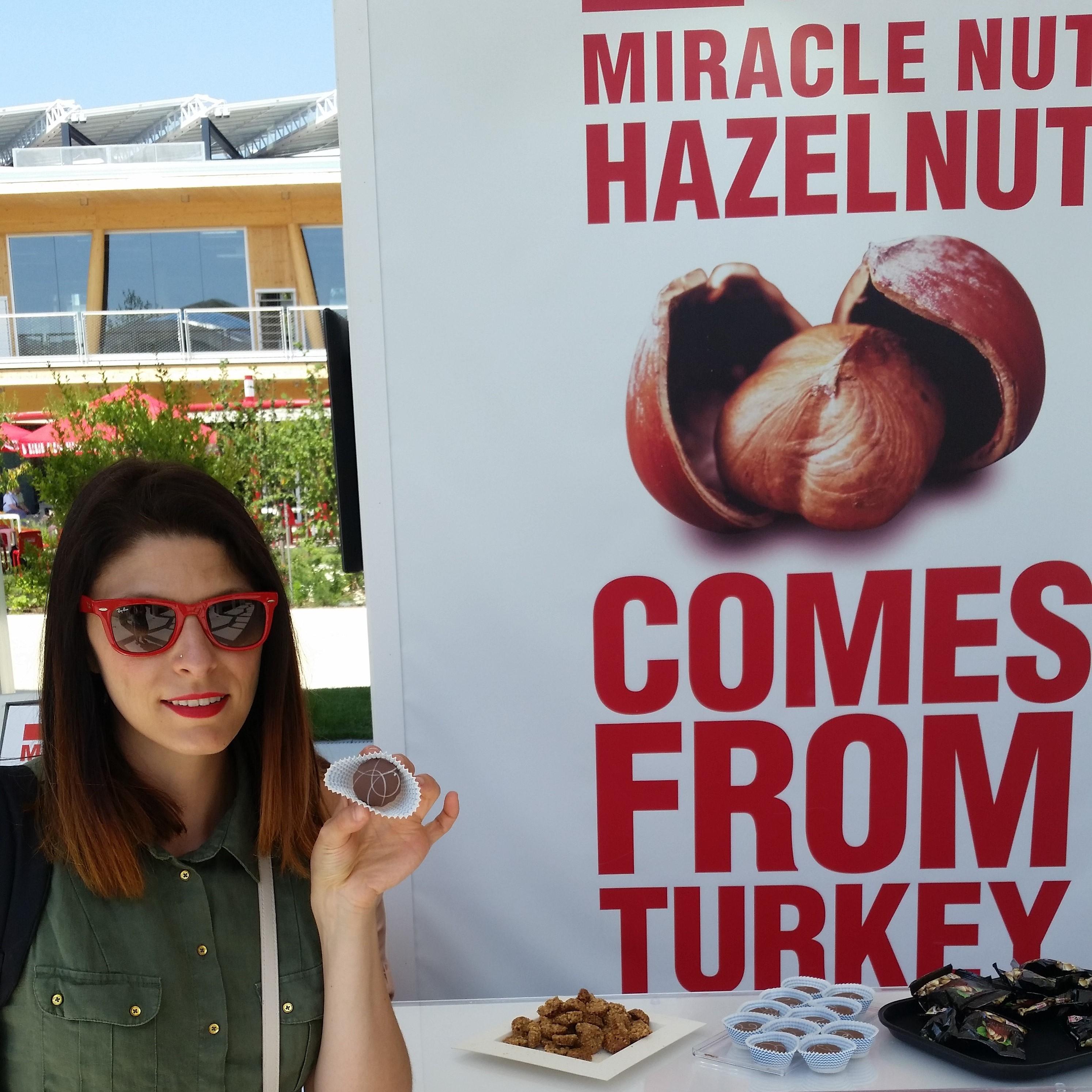 Expo 2015 Turkey Pavilion