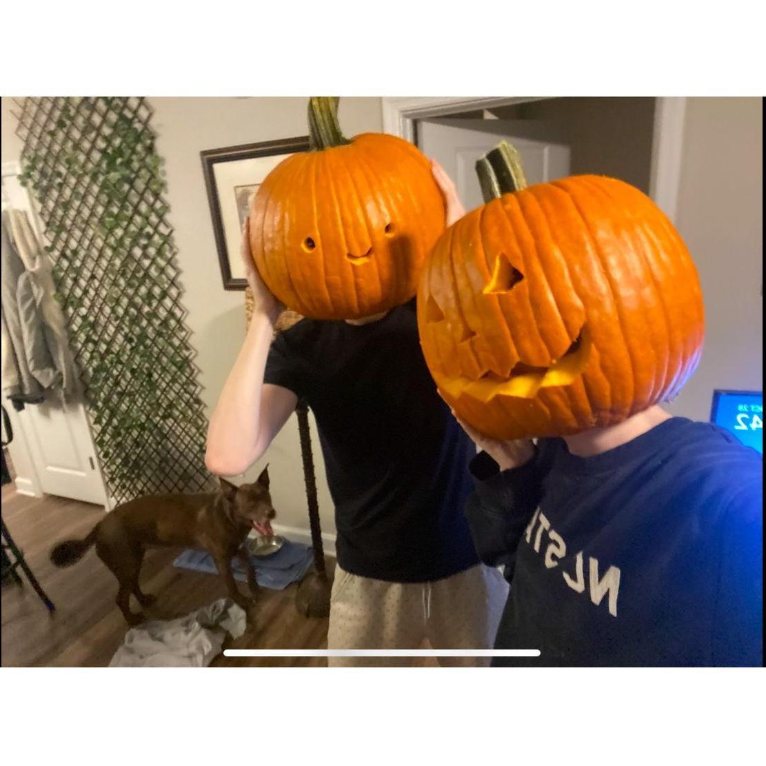 October 28th 2024: First Halloween- Don't think Kanan was a fan of our pumpkin head fun