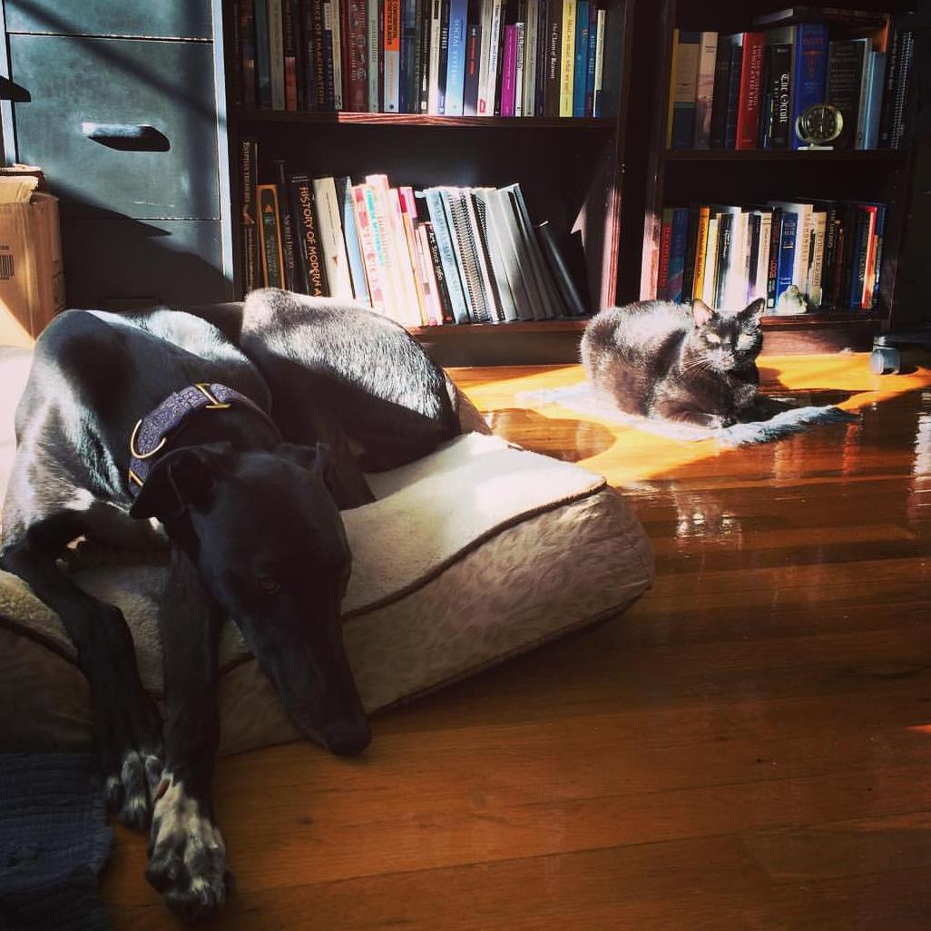 Our two beautiful kiddos: Rudy (on the left) and Asha (on the right).