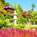 Golden Gate Park