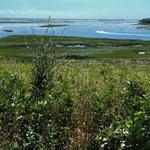 Fort Hill Trail