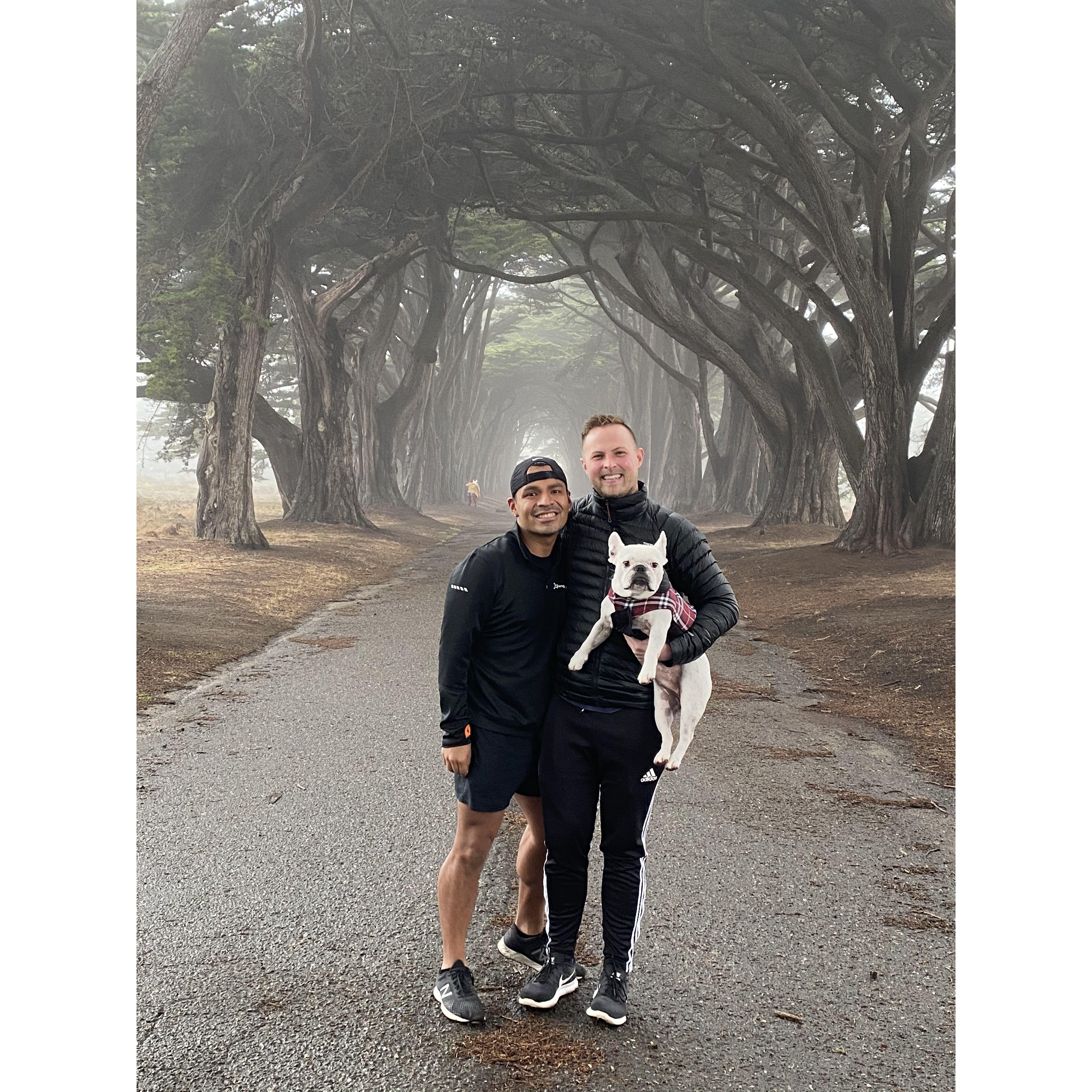 Jonathan told me about these amazing trees in Point Reyes, and we had to go! Point Reyes, CA