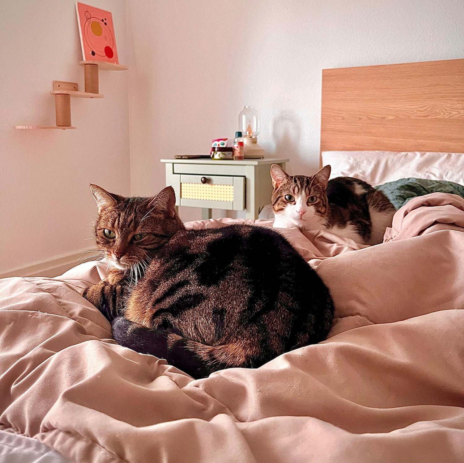 Não são necessários presentes. Como sabem, os noivos têm um grande carinho pelos animais. Quem desejar, pode doar à GRUMAPA, uma associação local de proteção animal, durante o casamento.