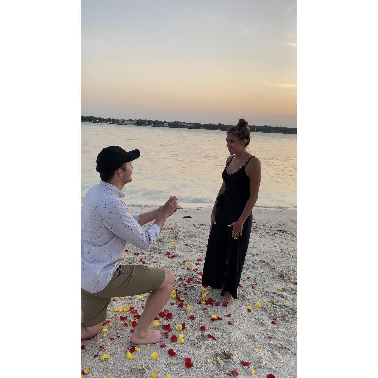 When Dillon proposed!