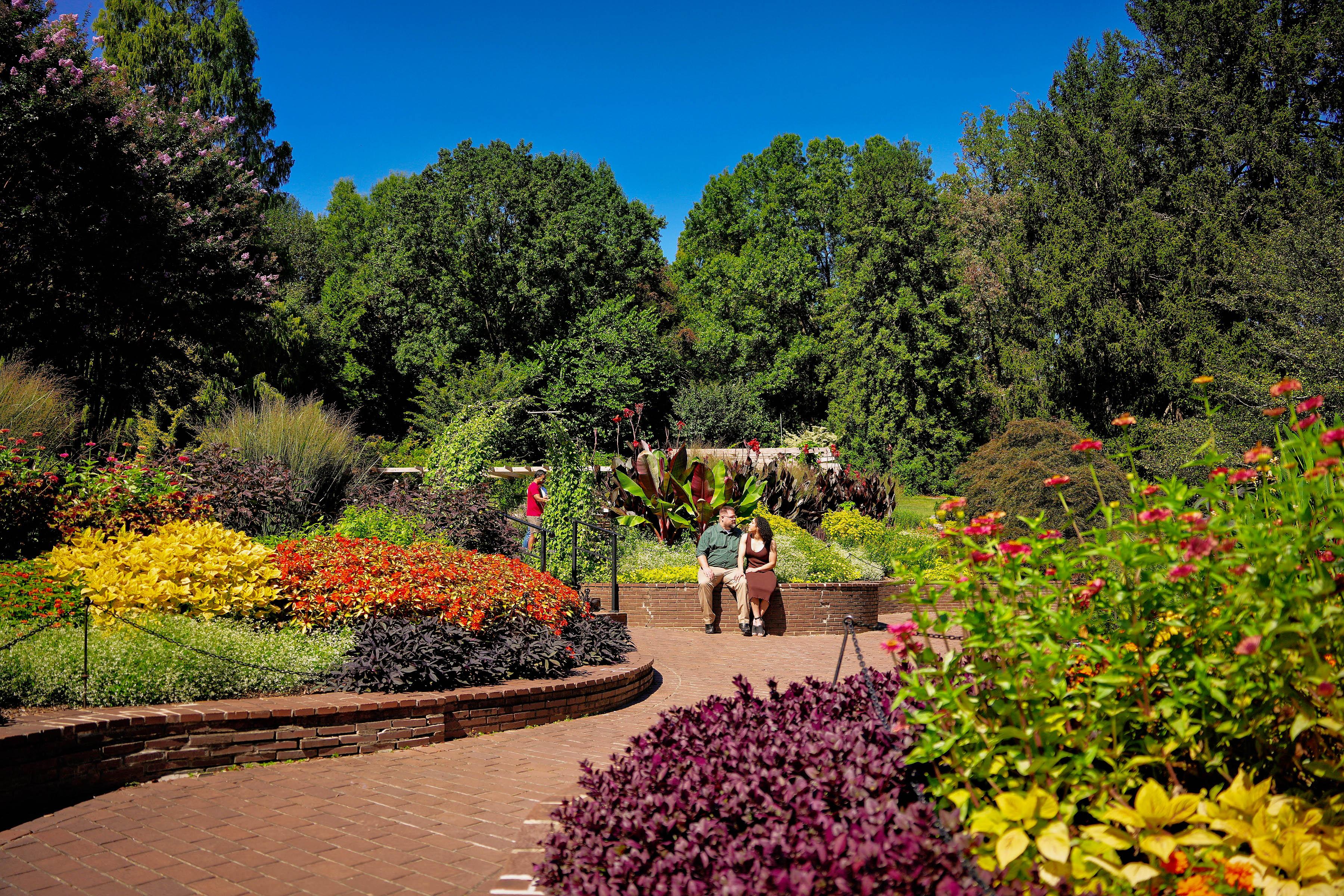 The Wedding Website of Rebecca Arocho and David Persons