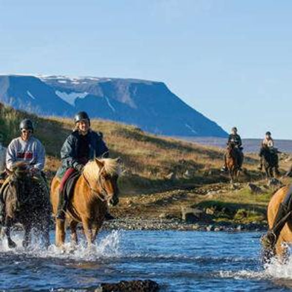 Icelandic Horseback Riding
