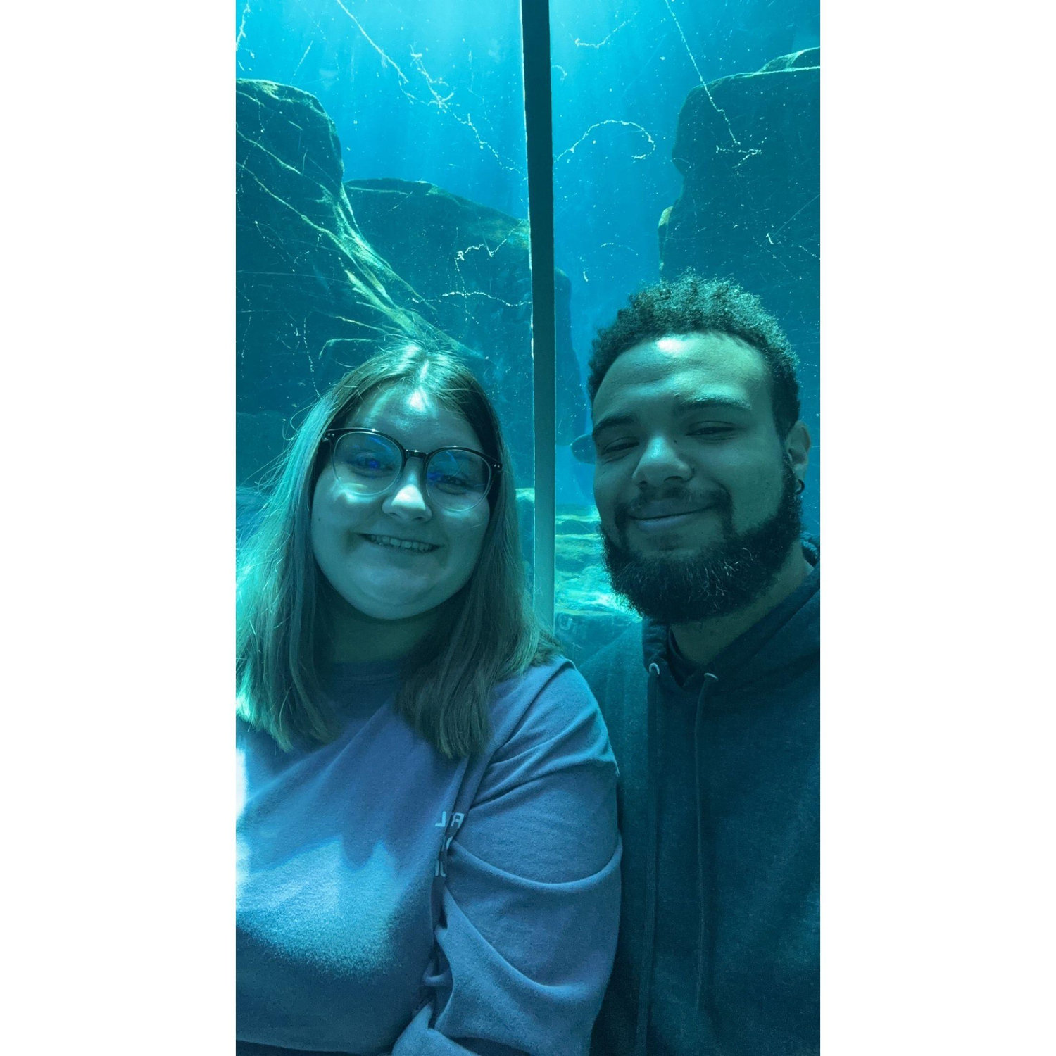 A trip to the Georgia Aquarium before another concert!
