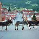 Cripple Creek