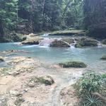 Faithful Waters
