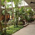 Bal Harbour Shops