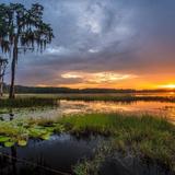Lake Louisa State Park