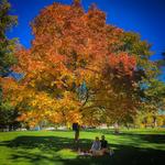 Washington Park