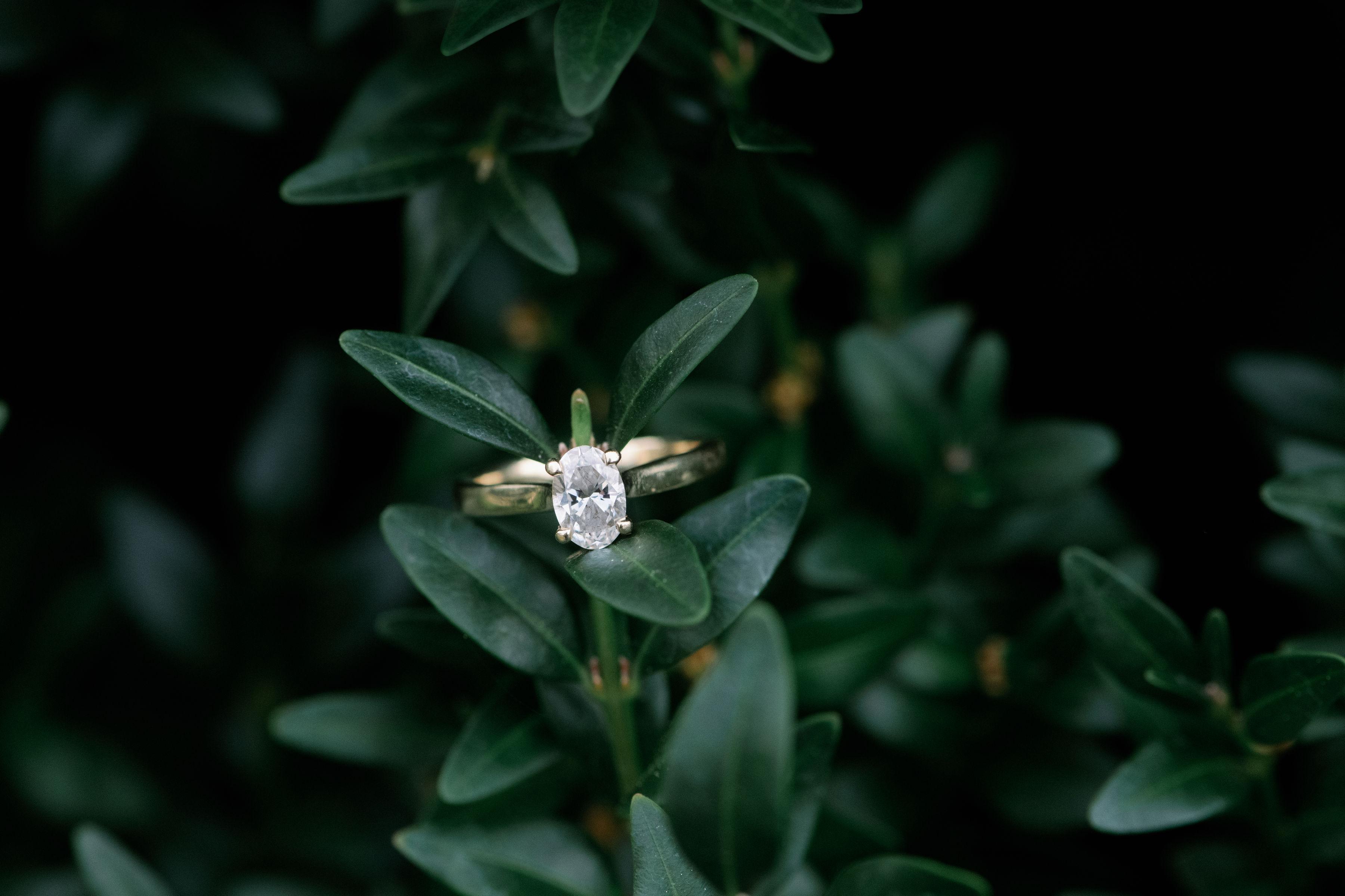 The Wedding Website of Sarah Sutton and Ernie Inzana