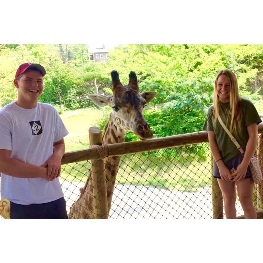 The Zoo