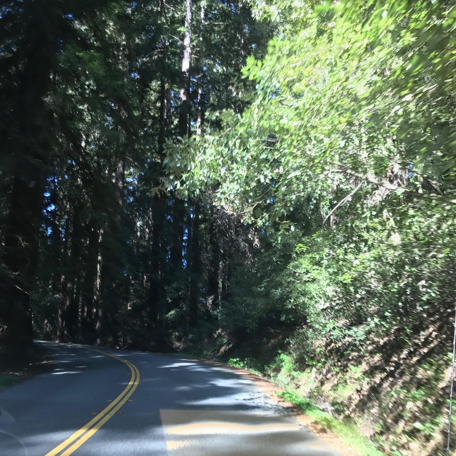 On the road to our Casa before it was ours!