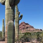 Papago Park