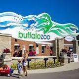 The Buffalo Zoo