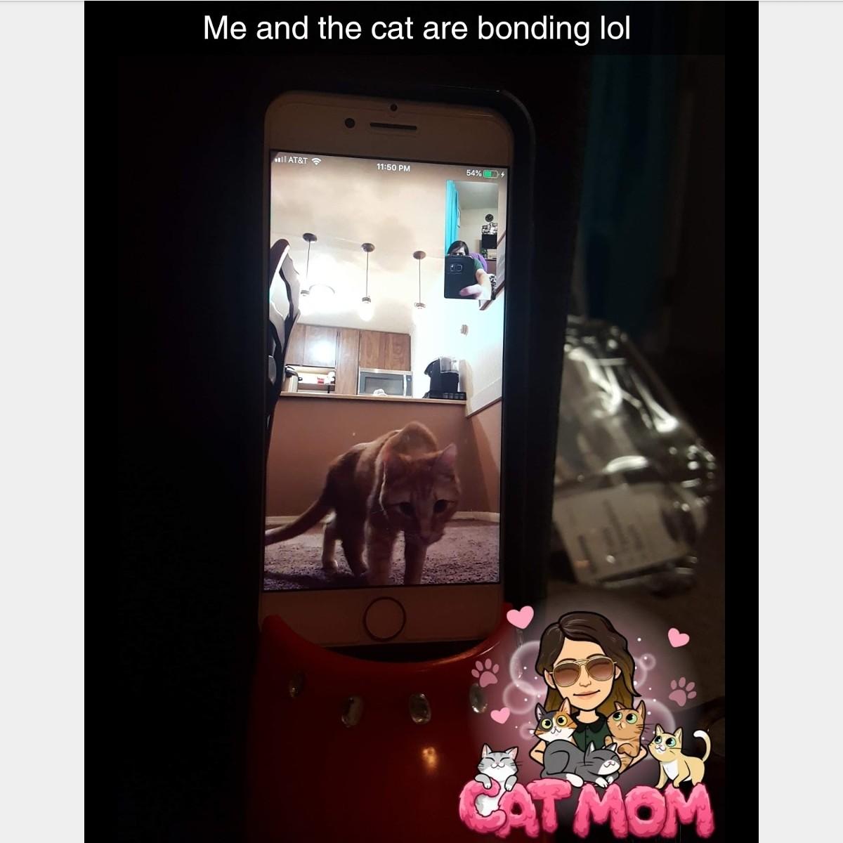 Jordie went somewhere so Sierra attempts to bond with Cat Damon