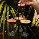 Concorde Espresso Bar